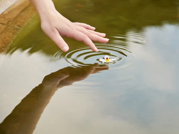 SPA Salino Agua Mãe - Experiência Flutuante